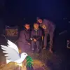Chris DiSalvo-Leibham - @chris.disalvoleib - TikTok