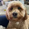 christinadisalvo5 - @christinadisalvo5 - TikTok
