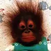 ChristianDittmar - @christiandittmar - TikTok