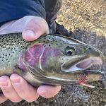 Chris Dobbins - @ce_dobbins - Instagram