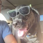 Chris Donato - @cdonato21 - Instagram