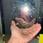 Chris Allen Donner - @chrisallendonner - Instagram