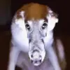 Chris Donner - @donnnnnn678 - TikTok