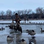 Chris Donoghue - @chris.donoghue.773 - Instagram