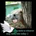 Chris Doonan - Facebook