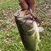 Chris Dorner - Facebook