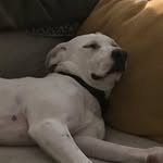 Chris Doster - @dosterspartacus - Instagram