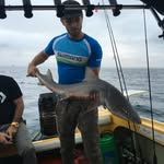 Chris Dounis - @chrisdounis - Instagram