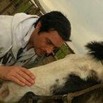 Christian Dreiling - @christiandreiling - Instagram
