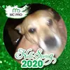 Chris Drew667 - @chrisdrew2469 - TikTok