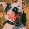 chrisdrewery80 - @chrisdrewery80 - TikTok