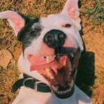 Drewery - @chris.drewery12 - Instagram