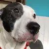 user8962255723794 - @chris.drewery13 - TikTok