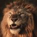 Chris Dreyer - Facebook