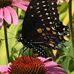 Christine Driedger - Facebook