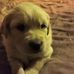 Christopher Driedger - Facebook