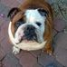 Chris Droste - Facebook