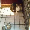 Christa Drumwright - @christa.drumwrigh - TikTok