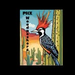 Chris Ducharme - @phxwoodpeckers - Instagram