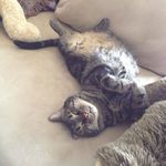 Chris DuCharme - @chris.ducharme.750 - Instagram