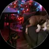 Christopher Ducharme - @christopher.de_jesus81 - TikTok
