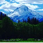 chris duchateau - @duchateauchris - Instagram