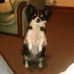 Christopher Ducie - Facebook