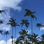 Chris Duckett - @ducks1970 - Instagram