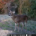 Chris Ducote - @ducotechris - Instagram