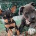 Chris Dudek - Facebook