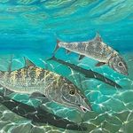 Chris Duenas - @captchrisduenas - Instagram