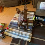 Chris Duffus - Facebook
