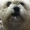 Chris Dufour - @chris.dufour77 - TikTok