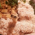 Chris Dufour - @beingme73 - Instagram