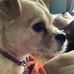 Kris Dufour - Facebook