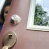 Chris Duguay - @chris.duguay6 - TikTok