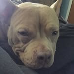 Chris Osborne - @chrisduhhhhhhhh - Instagram