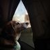 Chris Duhaime - Facebook