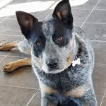 Chris Duncombe - @mothersnursery29 - Instagram