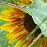 Christy McGill Dunfee - @mcgill.christy - Instagram