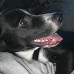 Chris Dunivan - @chris_dunivan98 - Instagram