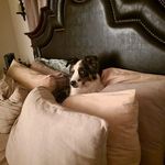 Chrissy Dodson Dunivan - @nana2rhkr - Instagram
