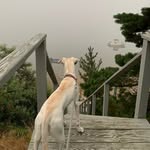 Chris Durbin - @chris_durbin66 - Instagram