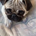 Chris Durboraw - Facebook
