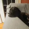 Chris Durocher - @chris.durocher - TikTok