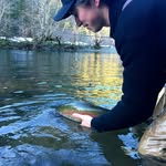 Christopher Dusseault - @christopherdusseault - Instagram