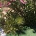 Chris Duval - Facebook