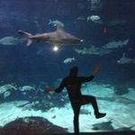 Chris Dwire - @redrumchris - Instagram