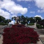 Chris Dyck - @cjdyck64 - Instagram
