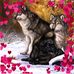 Chris Dynes - Facebook